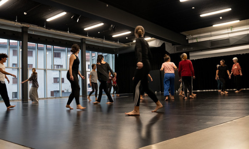 DANTZA GARAIKIDEKO HASTAPENAK