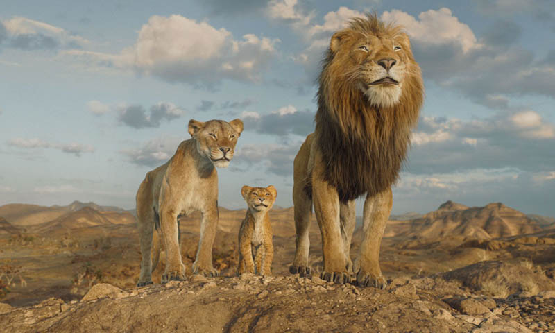 MUFASA: EL REY LEÓN MUFASA: EL REY LEÓN