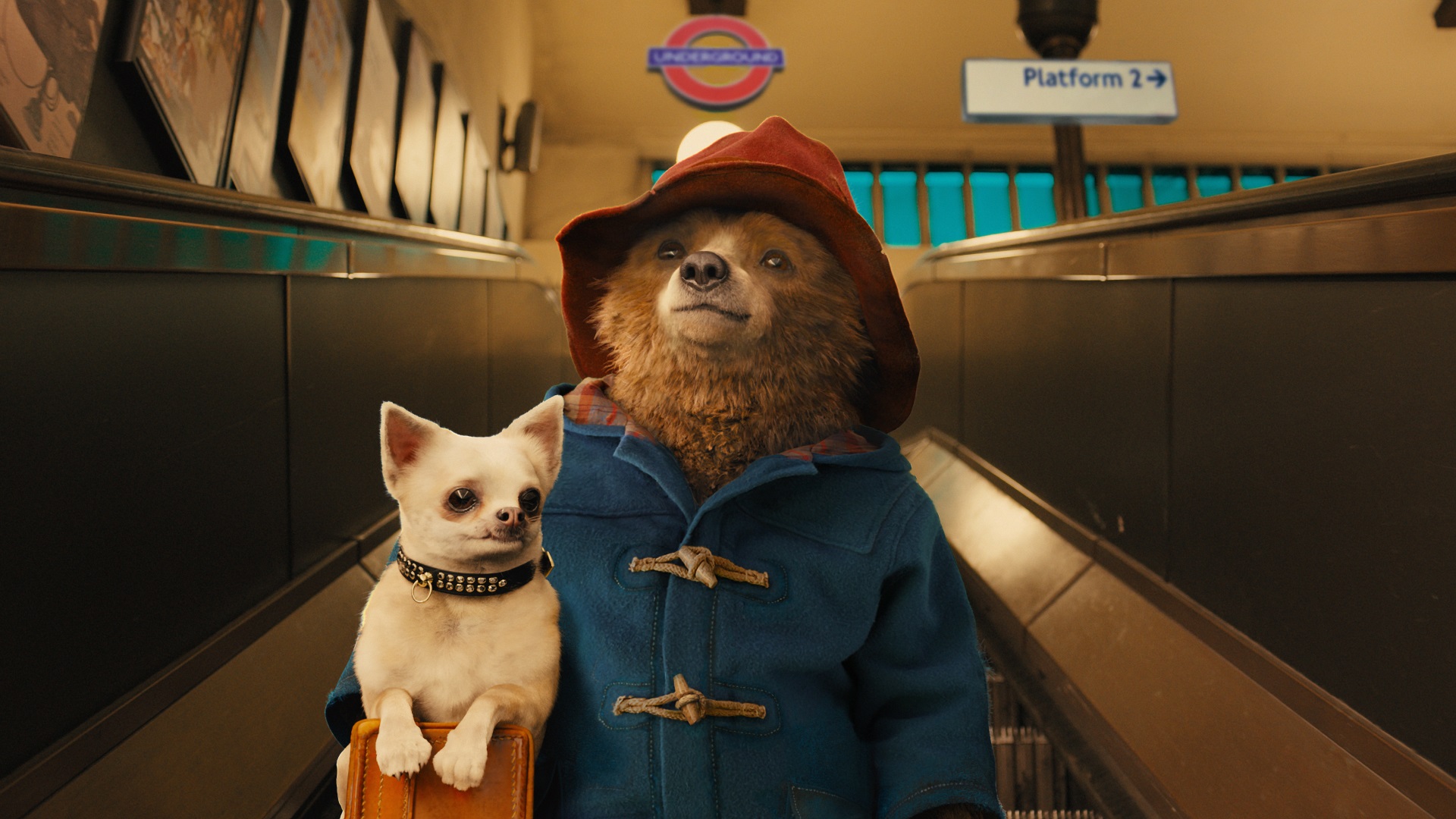 PADDINGTON: AVENTURA EN LA SELVA PADDINGTON: AVENTURA EN LA SELVA