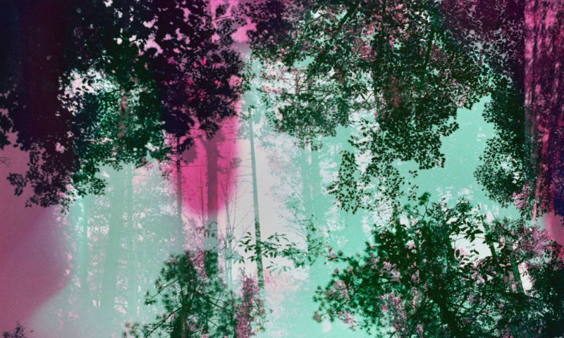 POESIA ETA IRUDIA | ESATEKO IDATZI