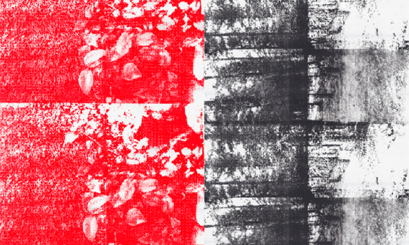 SERIGRAFIA TAILER AURRERATUA