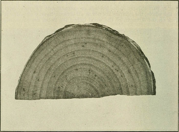 Sorkuntza bekak 2020