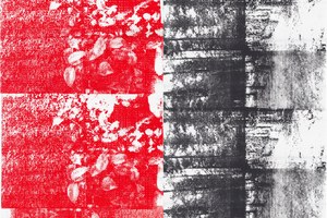 SERIGRAFIA TAILER AURRERATUA