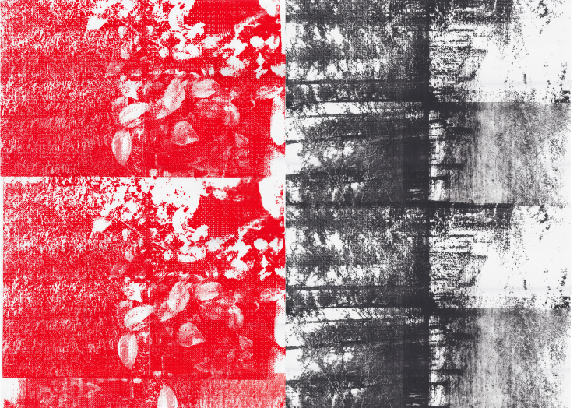 SERIGRAFIA TAILER AURRERATUA