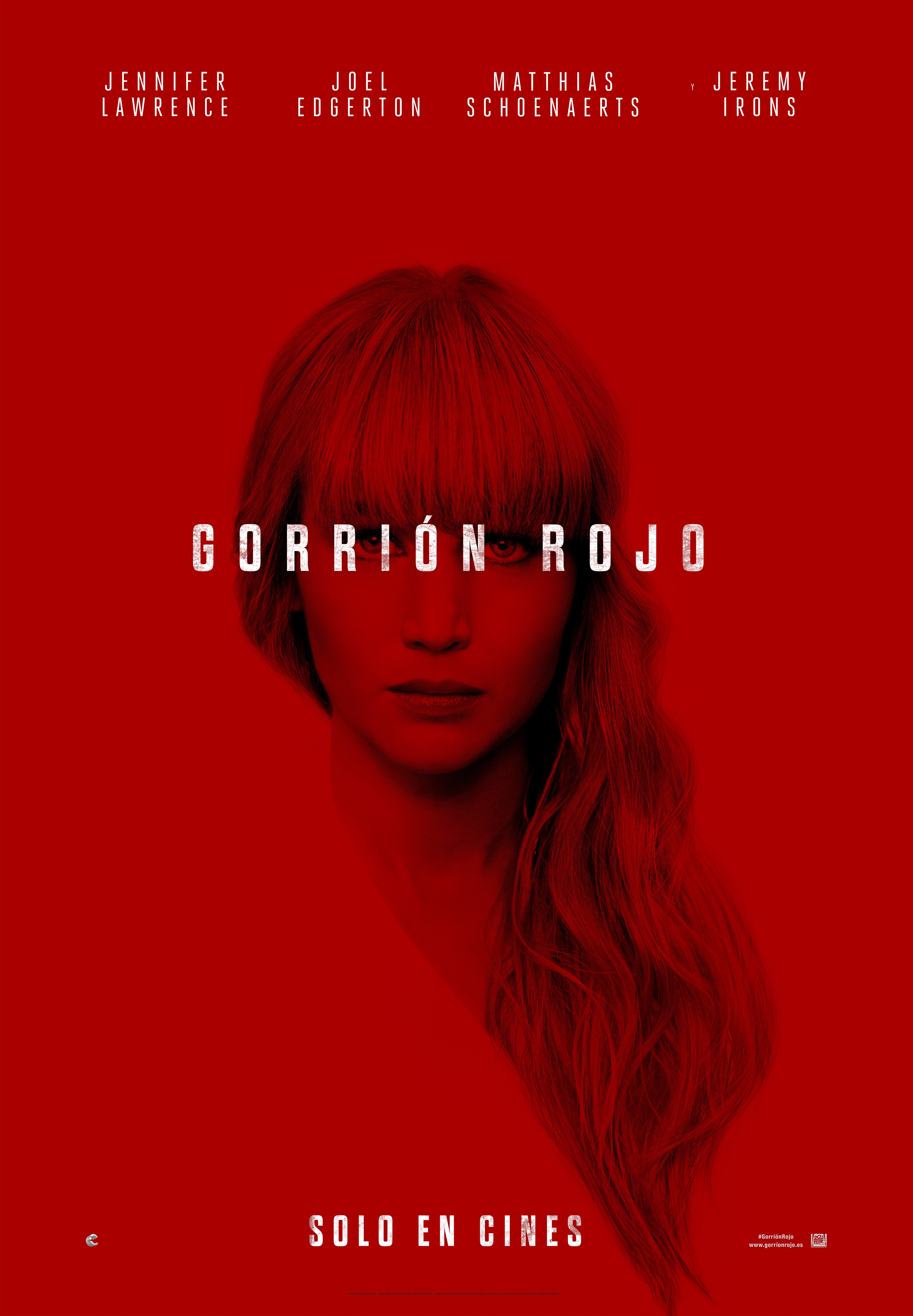 Gorrión rojo Gorrión rojo