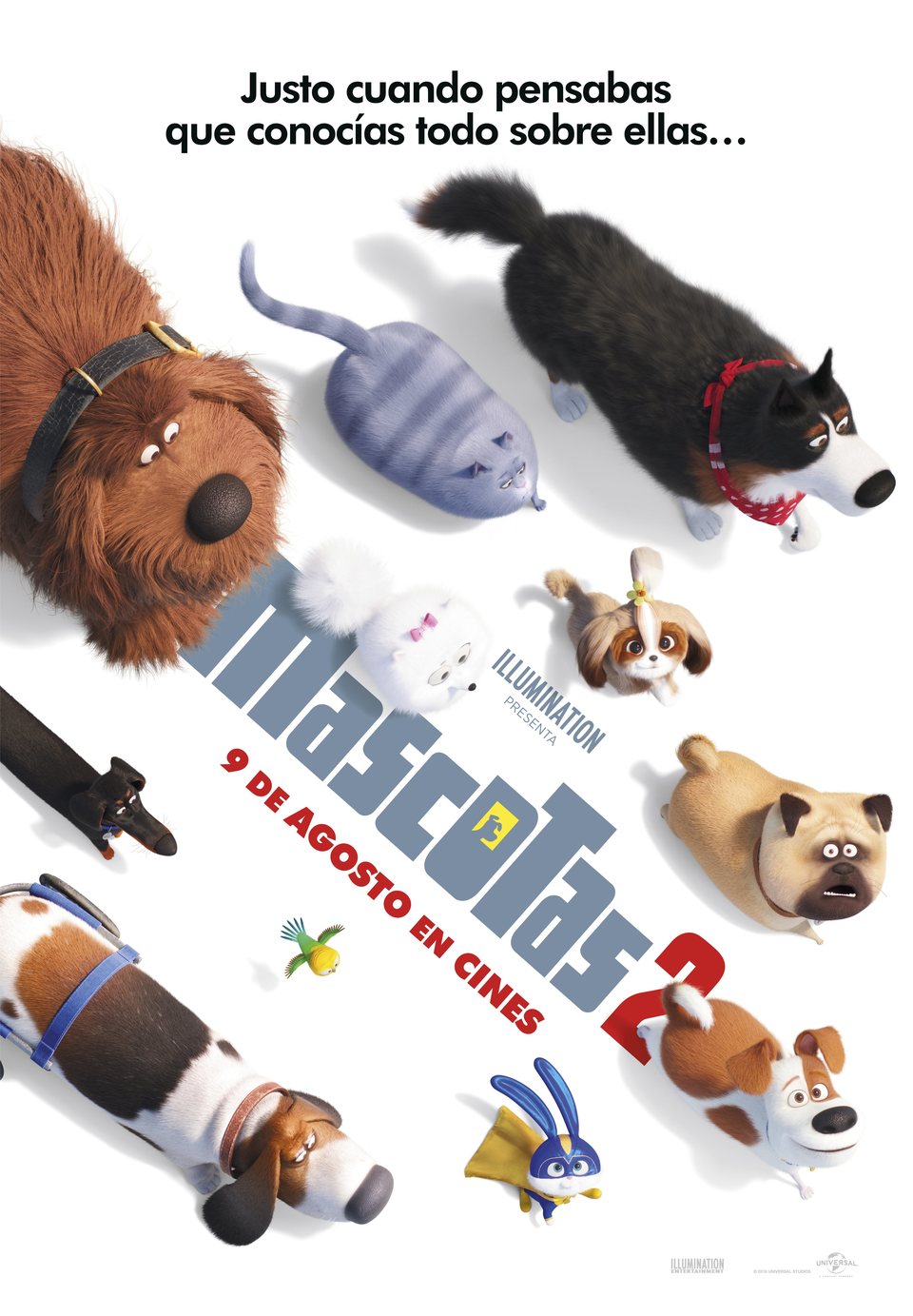 "Mascotas 2"